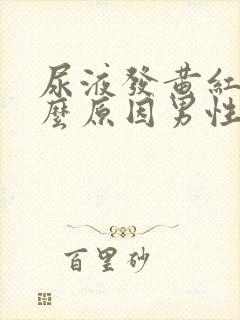 尿液发黄红是什么原因男性