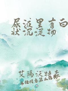 尿液里有白色絮状沉淀物