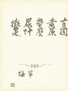 撒尿带黄有点红是什么原因