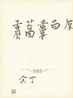 舌苔黄白厚是怎么回事