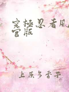 究极忍者风暴4官版