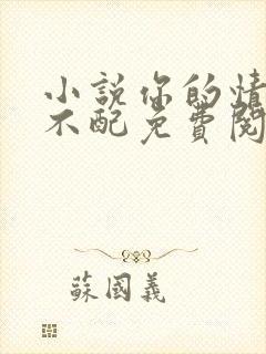 小说你的情深我不配免费阅读全文