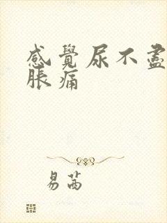 感觉尿不尽小腹胀痛