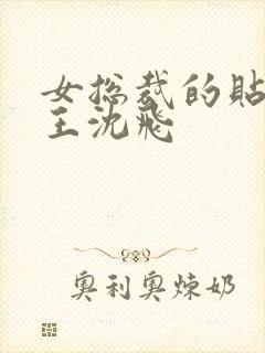 女总裁的贴身兵王沈飞