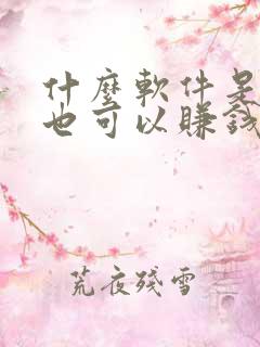 什么软件是走路也可以赚钱的软件