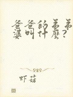 爸爸的弟弟的老婆叫什么?