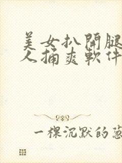 美女扒开腿让男人捅爽软件