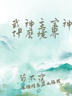 武神主宰神帝是什么境界