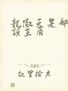 龙傲天是哪部小说主角