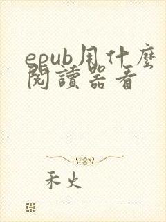 epub用什么阅读器看