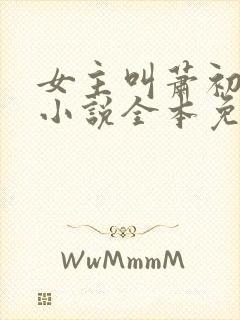 女主叫萧初然的小说全本免费阅读