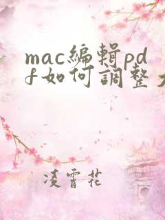 mac编辑pdf如何调整大小