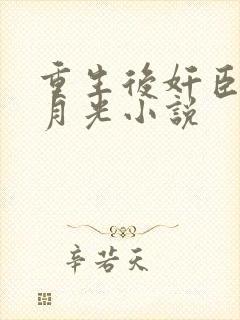 重生后奸臣的黑月光小说