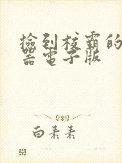 捡到校霸的遥控器电子版