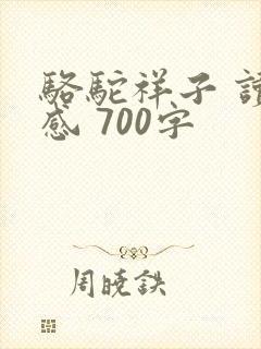 骆驼祥子 读后感 700字