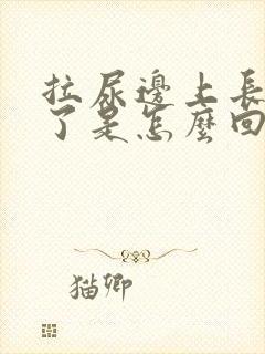 拉尿边上长痘痘了是怎么回事