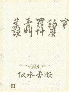 叶青罗的穿越小说叫什么