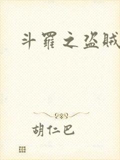 斗罗之盗贼