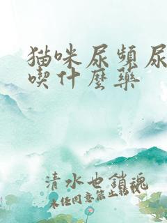 猫咪尿频尿出血吃什么药