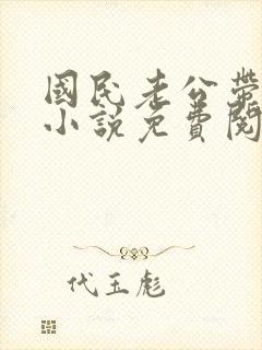 国民老公带回家小说免费阅读全集