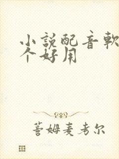 小说配音软件哪个好用