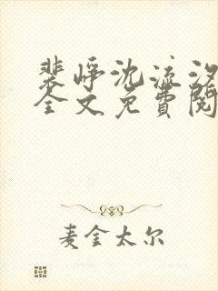 裴峥沈流汐小说全文免费阅读