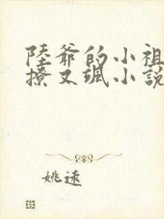 陆爷的小祖宗又撩又飒小说无弹窗