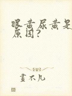 眼黄尿黄是什么原因?