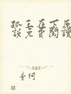 孤王在下原著小说免费阅读