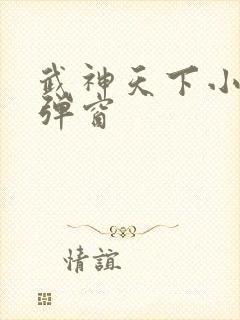 武神天下小说无弹窗