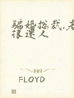 骗婚总裁,老婆很迷人