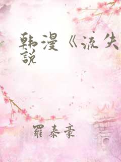 韩漫《流失》小说