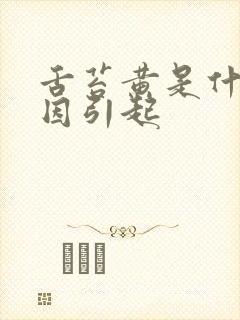 舌苔黄是什么原因引起