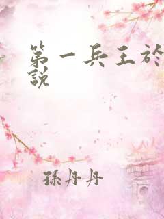 第一兵王于枫小说
