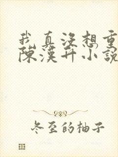 我真没想重生啊陈汉升小说无弹窗