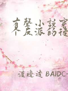 有声小说穿成五个反派的后娘