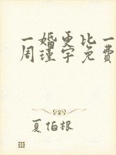 一婚更比一婚高周瑾宇免费阅读