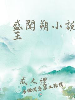 盛闻朔小说双男主