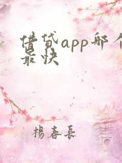 借贷app哪个最快