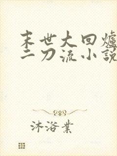 末世大回炉二十二刀流小说手机版