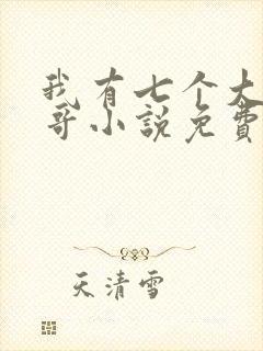 我有七个大佬哥哥小说免费听书