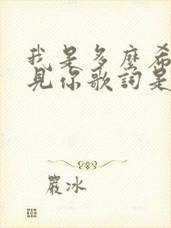 我是多么希望遇见你歌词是哪首歌