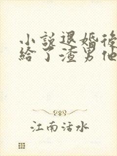 小说退婚后我嫁给了渣男他叔全文