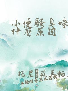 小便骚臭味重是什么原因