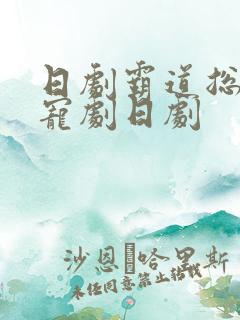 日剧霸道总裁甜宠剧日剧