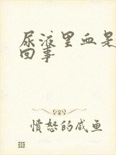 尿液里血是怎么回事