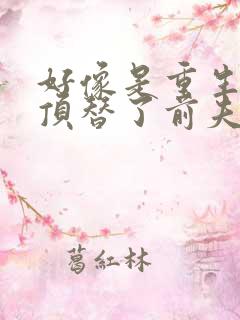 好像是重生后我顶替了前夫白月光