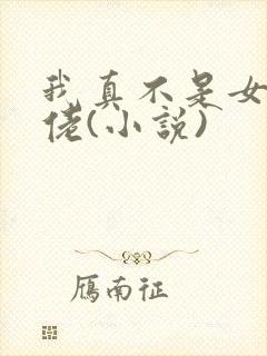 我真不是女装大佬(小说)