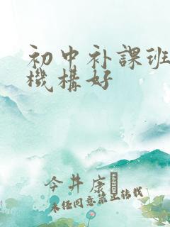 初中补课班哪家机构好