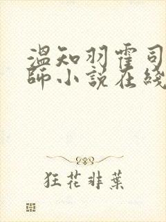 温知羽霍司砚律师小说在线免费阅读